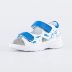 Основное изображение 322173-21 белый-синий